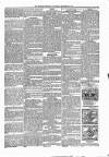 Kildare Observer and Eastern Counties Advertiser Saturday 06 December 1890 Page 5