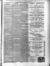Kildare Observer and Eastern Counties Advertiser Saturday 03 January 1891 Page 7