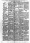 Kildare Observer and Eastern Counties Advertiser Saturday 17 January 1891 Page 2