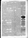 Kildare Observer and Eastern Counties Advertiser Saturday 28 February 1891 Page 7