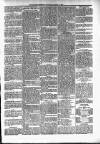 Kildare Observer and Eastern Counties Advertiser Saturday 12 March 1892 Page 5