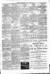 Kildare Observer and Eastern Counties Advertiser Saturday 01 April 1893 Page 7