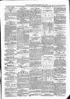 Kildare Observer and Eastern Counties Advertiser Saturday 01 July 1893 Page 7