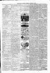 Kildare Observer and Eastern Counties Advertiser Saturday 02 September 1893 Page 7
