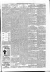 Kildare Observer and Eastern Counties Advertiser Saturday 23 December 1893 Page 3