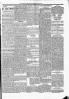 Kildare Observer and Eastern Counties Advertiser Saturday 14 July 1894 Page 5