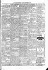 Kildare Observer and Eastern Counties Advertiser Saturday 08 September 1894 Page 3
