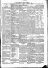 Kildare Observer and Eastern Counties Advertiser Saturday 22 September 1894 Page 5