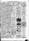 Kildare Observer and Eastern Counties Advertiser Saturday 22 September 1894 Page 7