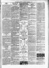 Kildare Observer and Eastern Counties Advertiser Saturday 01 December 1894 Page 3