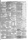 Kildare Observer and Eastern Counties Advertiser Saturday 13 February 1897 Page 3