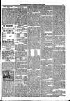 Kildare Observer and Eastern Counties Advertiser Saturday 13 March 1897 Page 7