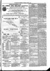 Kildare Observer and Eastern Counties Advertiser Saturday 10 April 1897 Page 3