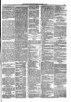 Kildare Observer and Eastern Counties Advertiser Saturday 17 April 1897 Page 5