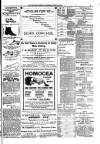Kildare Observer and Eastern Counties Advertiser Saturday 19 June 1897 Page 3