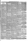 Kildare Observer and Eastern Counties Advertiser Saturday 19 June 1897 Page 7