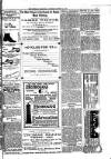 Kildare Observer and Eastern Counties Advertiser Saturday 21 August 1897 Page 3