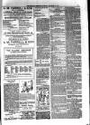 Kildare Observer and Eastern Counties Advertiser Saturday 06 November 1897 Page 7