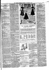 Kildare Observer and Eastern Counties Advertiser Saturday 13 November 1897 Page 3