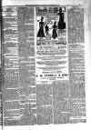 Kildare Observer and Eastern Counties Advertiser Saturday 20 November 1897 Page 3