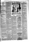 Kildare Observer and Eastern Counties Advertiser Saturday 27 November 1897 Page 3