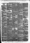 Kildare Observer and Eastern Counties Advertiser Saturday 14 January 1899 Page 7