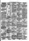 Kildare Observer and Eastern Counties Advertiser Saturday 01 April 1899 Page 3