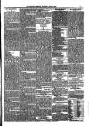 Kildare Observer and Eastern Counties Advertiser Saturday 01 April 1899 Page 5