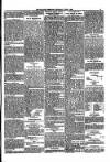 Kildare Observer and Eastern Counties Advertiser Saturday 03 June 1899 Page 5