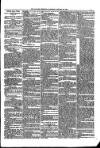 Kildare Observer and Eastern Counties Advertiser Saturday 27 January 1900 Page 7