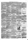Kildare Observer and Eastern Counties Advertiser Saturday 03 March 1900 Page 3