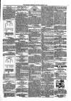 Kildare Observer and Eastern Counties Advertiser Saturday 24 March 1900 Page 3