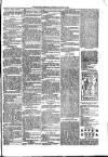 Kildare Observer and Eastern Counties Advertiser Saturday 18 August 1900 Page 3