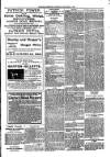 Kildare Observer and Eastern Counties Advertiser Saturday 03 November 1900 Page 3