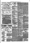 Kildare Observer and Eastern Counties Advertiser Saturday 10 November 1900 Page 3