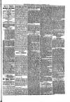 Kildare Observer and Eastern Counties Advertiser Saturday 17 November 1900 Page 5