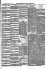 Kildare Observer and Eastern Counties Advertiser Saturday 24 November 1900 Page 7