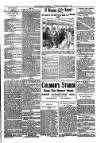 Kildare Observer and Eastern Counties Advertiser Saturday 01 December 1900 Page 3