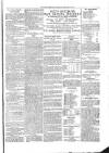 Kildare Observer and Eastern Counties Advertiser Saturday 05 January 1901 Page 7