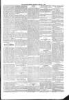 Kildare Observer and Eastern Counties Advertiser Saturday 19 January 1901 Page 5