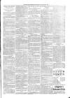 Kildare Observer and Eastern Counties Advertiser Saturday 26 January 1901 Page 3