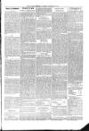 Kildare Observer and Eastern Counties Advertiser Saturday 09 February 1901 Page 5
