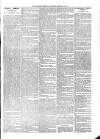 Kildare Observer and Eastern Counties Advertiser Saturday 23 February 1901 Page 7