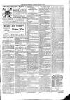 Kildare Observer and Eastern Counties Advertiser Saturday 02 March 1901 Page 3