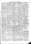 Kildare Observer and Eastern Counties Advertiser Saturday 02 March 1901 Page 7