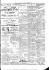 Kildare Observer and Eastern Counties Advertiser Saturday 16 March 1901 Page 3