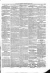 Kildare Observer and Eastern Counties Advertiser Saturday 16 March 1901 Page 7