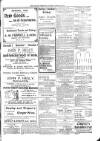 Kildare Observer and Eastern Counties Advertiser Saturday 23 March 1901 Page 3