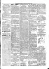 Kildare Observer and Eastern Counties Advertiser Saturday 23 March 1901 Page 5