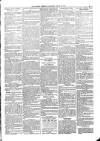 Kildare Observer and Eastern Counties Advertiser Saturday 23 March 1901 Page 7